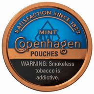 COPENAHGEN - COPENHAGEN MINT POUCH